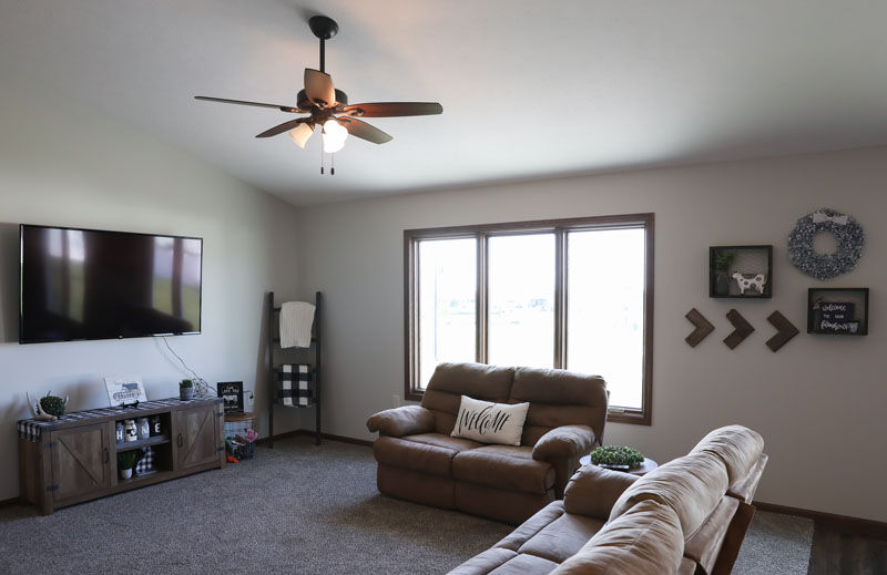 Living Room TV and Couch